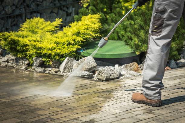 Best Soft Washing for Delicate Surfaces in Lakewood Park, TN