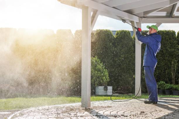Best Roof Cleaning and Mildew Removal in Lakewood Park, TN